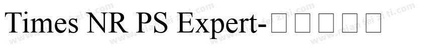 Times NR PS Expert字体转换